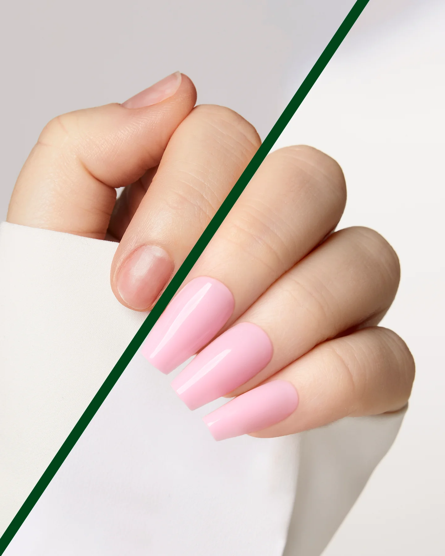 Flamingo - Image 4