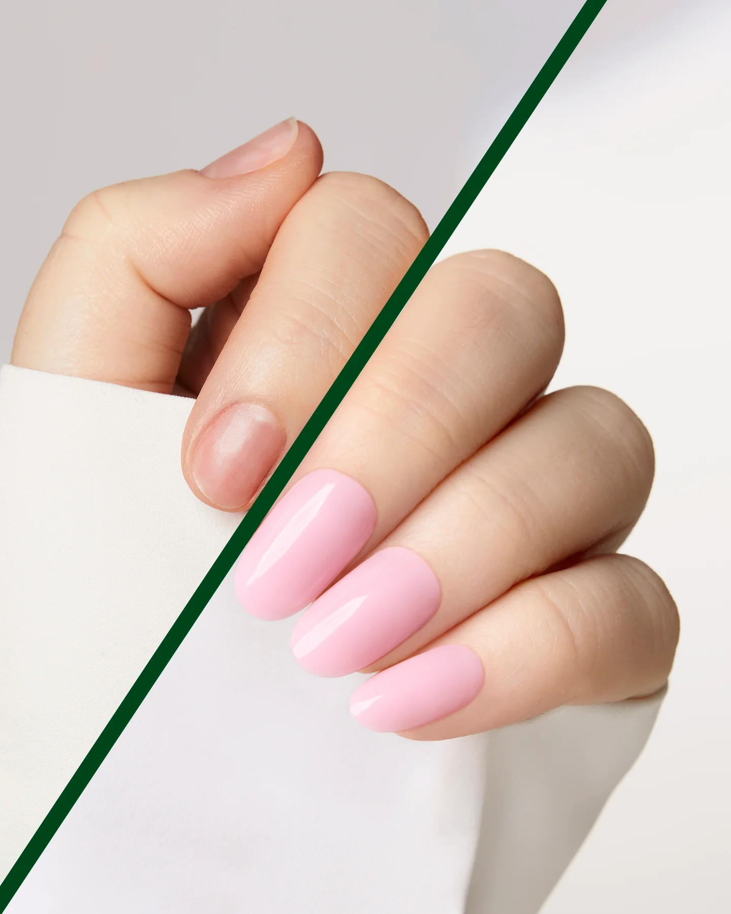 Flamingo - Image 4