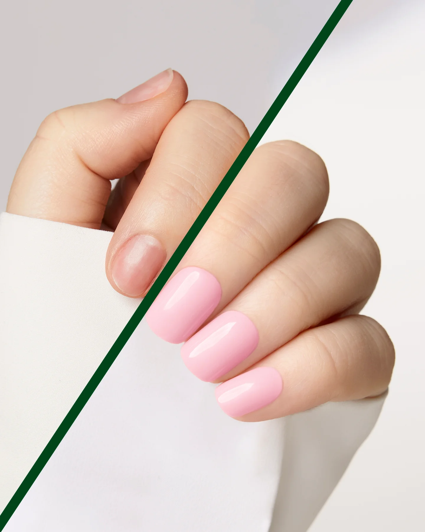 Flamingo - Image 6